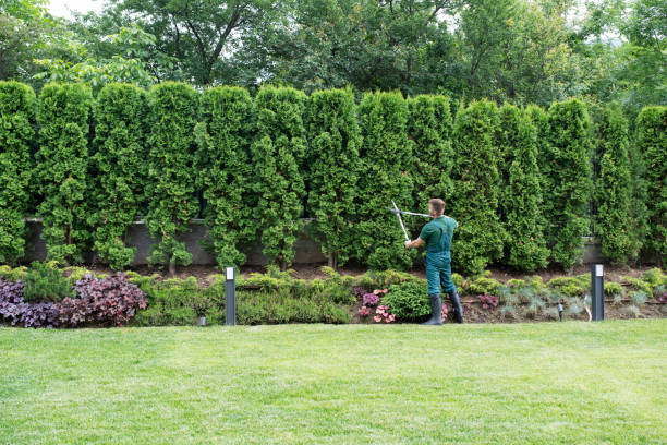 Best Arborist Consultation Services  in Centralia, MO